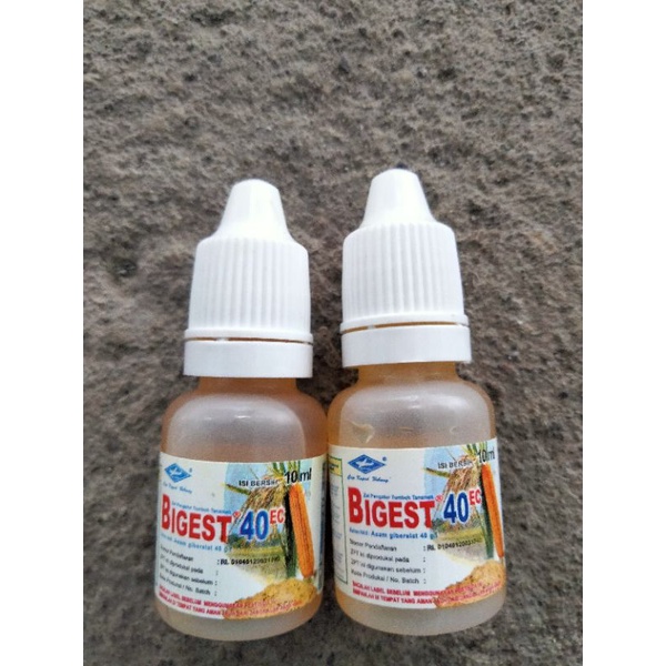 Zpt Bigest (10 ml)