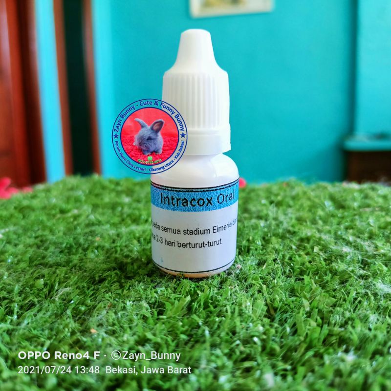 Intracox Oral 5ml Koksi, Kotoran Berlendir, Darah dll