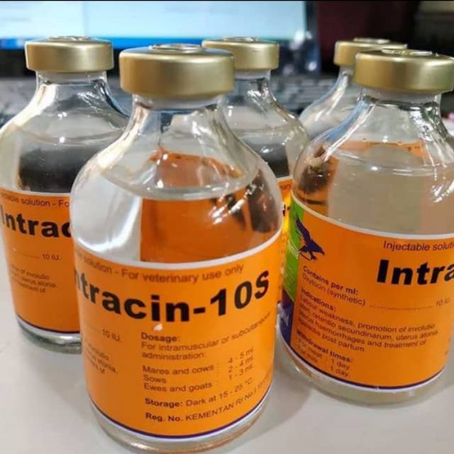 Intracin 10s Oxytocin 10 Obat Memperlancar Memperbanyak Air Susu Sapi Kambing Kerbau Domba Djs Farm Shopee Indonesia