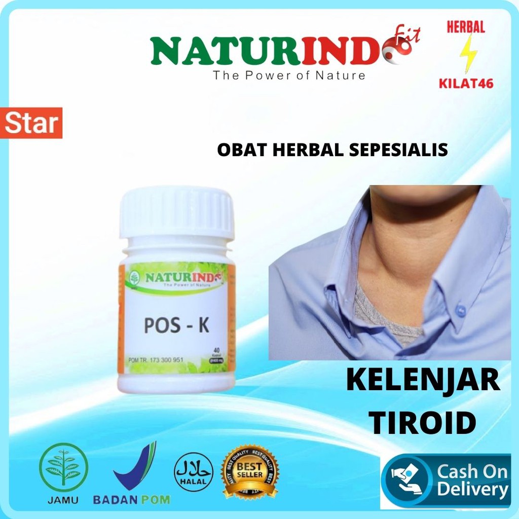 

obat herbal kelenjar tiroid benjolan dileher gondok amandel sariawan alami aman tanpa efek samping