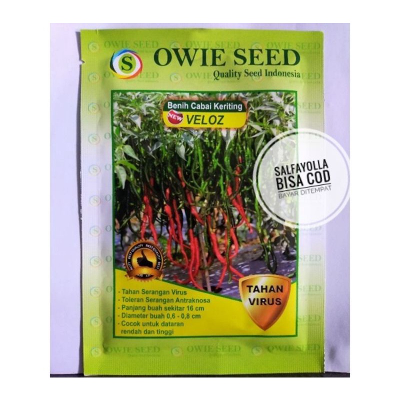 Benih Cabe Keriting Veloz 12,5gr Owie Seed