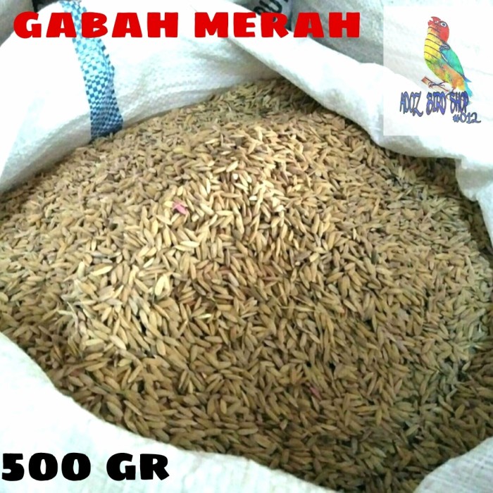 

GABAH MERAH/GABAH BERAS MERAH PAKAN AYAM/BURUNG DLL - 500 GR