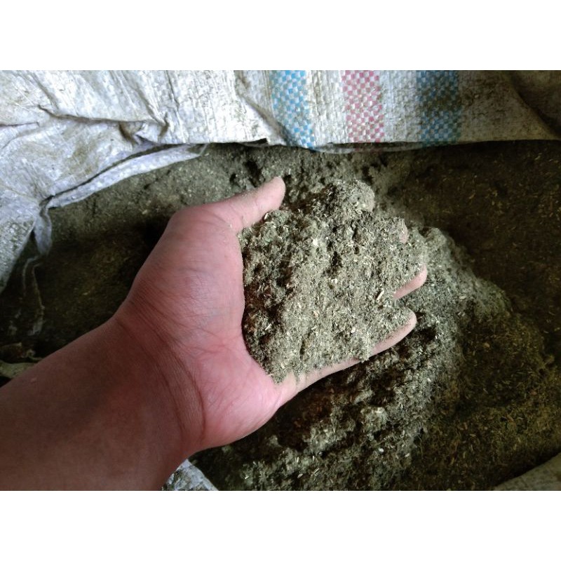 tepung indigofera murni /kg