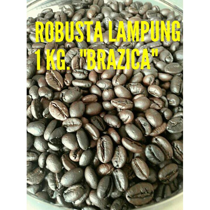 

Kopi Biji Robusta Lampung Merek Brazica "Gold Quality" 1 Kg - Bubuk Halus Terlaris