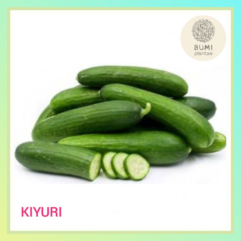 

Timun Jepang Kiyuri per pcs - Sayur Segar