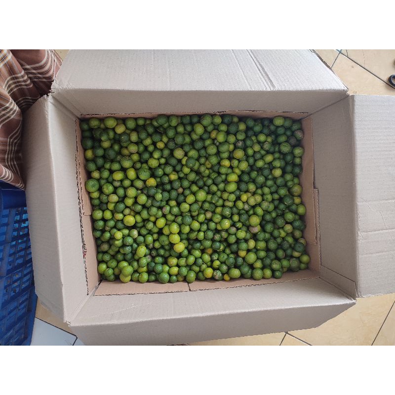 

jeruk limau limo per 10kg