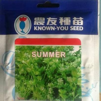 

Seledri Summer Kys Anehid90 Berkualitas
