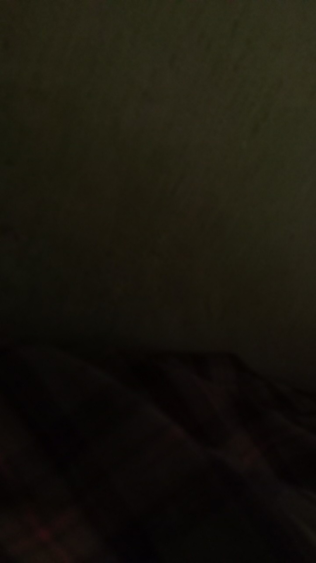 Cat Tembok Avitex 5kg