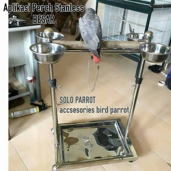 Rumah Kandang Burung Hantu Rangkok Kakaktua Macau Afgrey Nuri