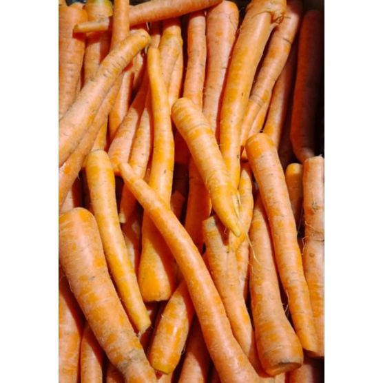 

wortel lokal segar 500grm