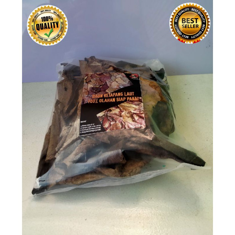 

READY!!BARU!!MURAH,, KETAPANG LAUT OLAHAN 250GR