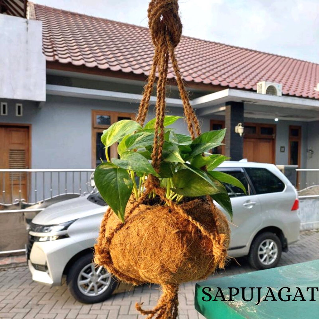 POT KOKEDAMA KECIL GANTUNG / POT SABUT GANTUNG / POT TANAMAN HIAS UNIK