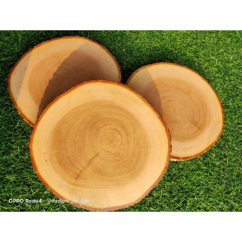 

WOODSLICE UKURAN 20-22 cm