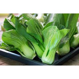 

Lalapan Sayur Segar Pakcoy Fresh per Ikat