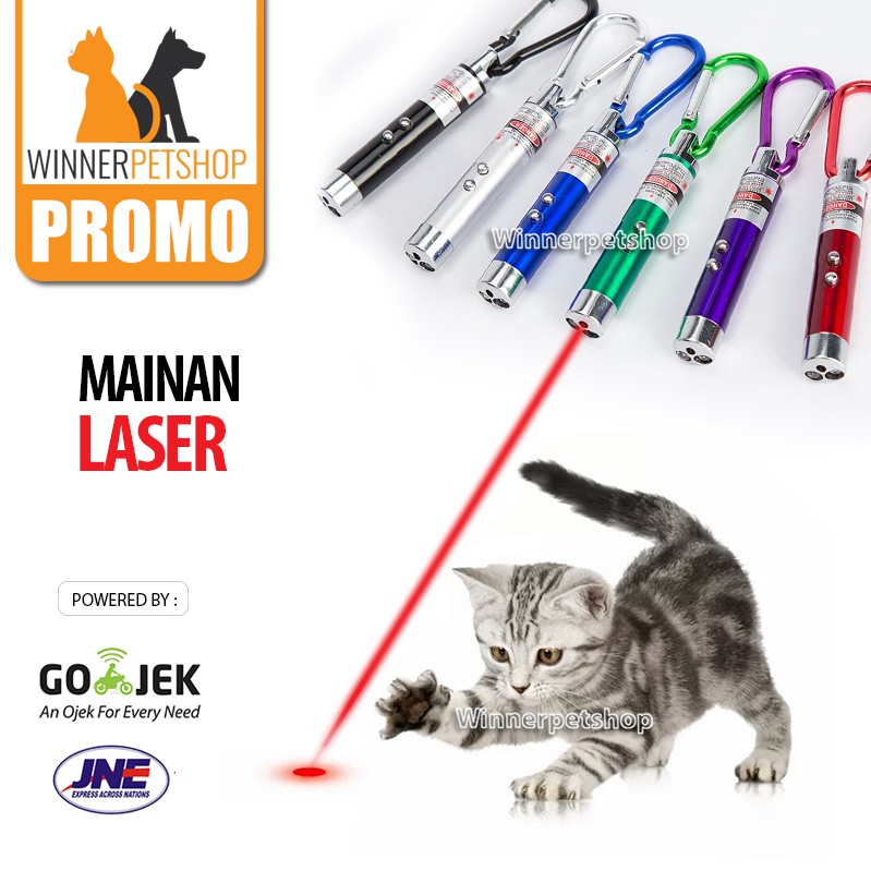  Mainan Kucing Laser  Lampu Laser  kucing  Shopee Indonesia