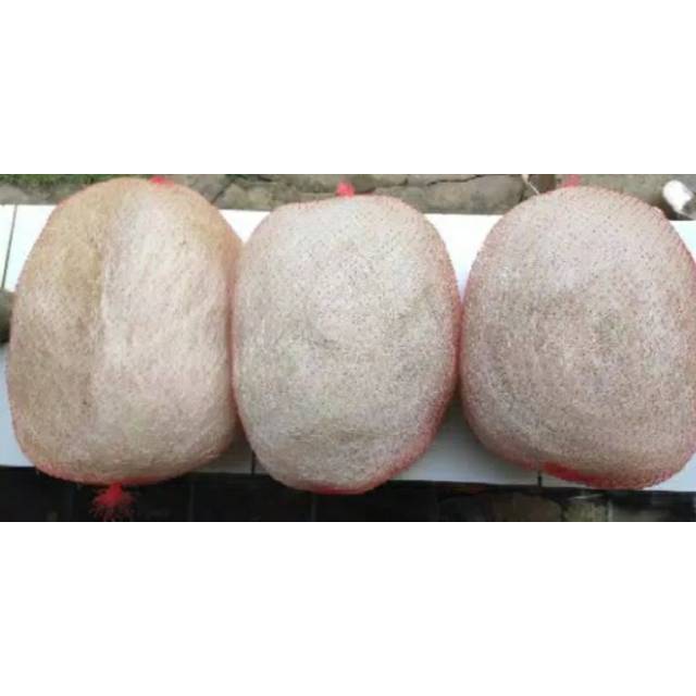 JARING BEKAS NELAYAN-JARING NELAYAN-FILTER IKAN KOI-FILTER KOLAM KOI -JAPMAT BIO BALL BIO RING