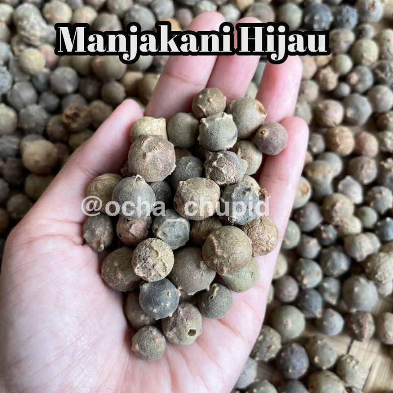 

Manjakani Hijau Kering