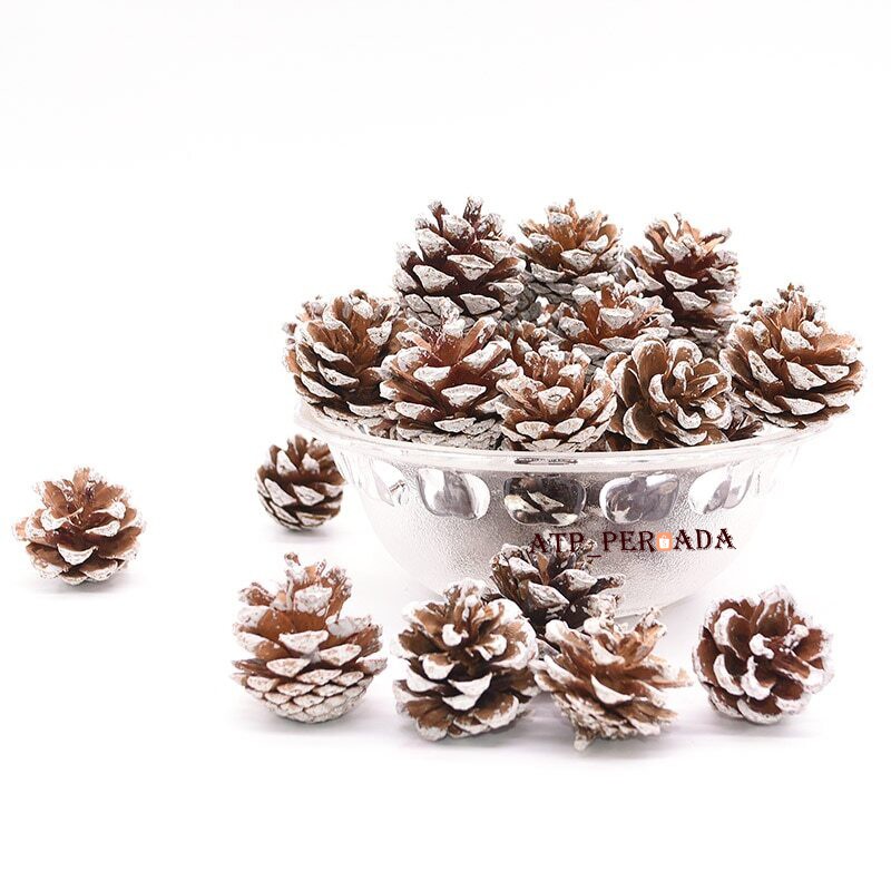 Jual Bunga Pinus Salju Kering Pine Flower Pine Cones Buah Pohon Pinus Cemara Hiasan Pohon 4279