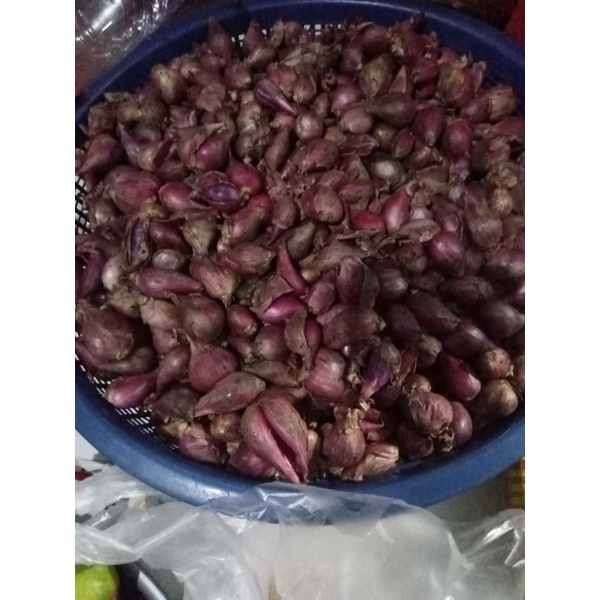 

bawang merah