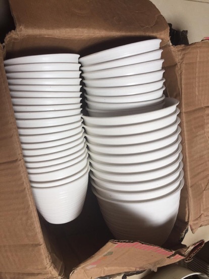  Pot  Bunga Plastik Model  Tawon  10 cm Putih Shopee Indonesia