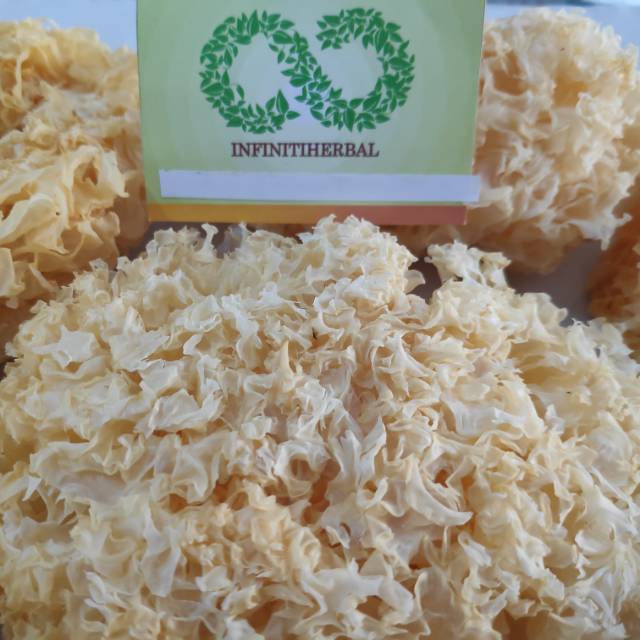 

Jamur Putih Snow Fungus White Fungus Kuning (Warna Natural)
