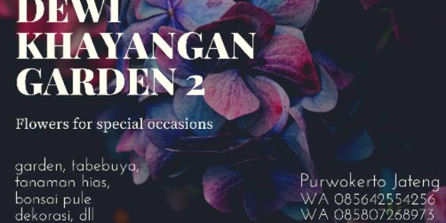 Toko Online dewi khayangan garden Shopee  Indonesia