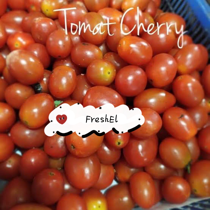 

FreshEl - TOMAT CHERRY / TOMAT BABY 250gr