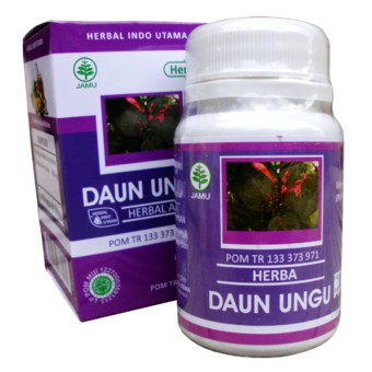 Herbal Indo Utama Hiu Daun Ungu Shopee Indonesia