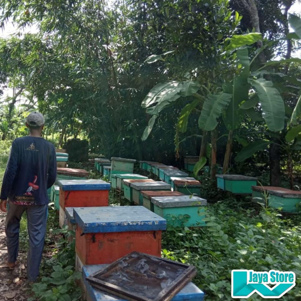 

BIG DISKON (COD) MADU MURNI TANPA PROSES (RAW HONEY) ❅ 862
