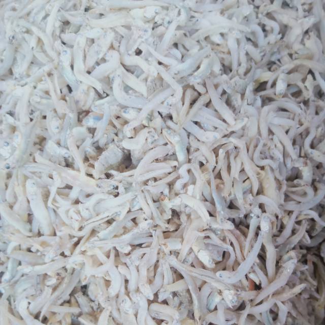 

Ikan asin : teri nasi bontio