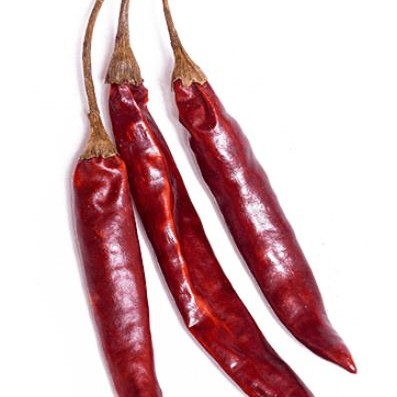 

Dried Chile de Arbol Pods, 5 grams (4-6 pods) Grown in Mexico