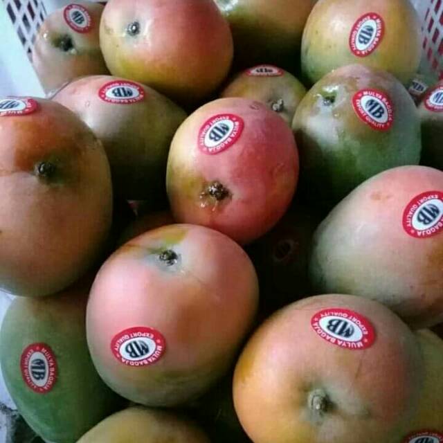 

Mangga gincu super