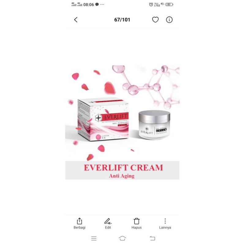 EVERLIFT CREAM ANTI AGING ASLI ORIGINAL