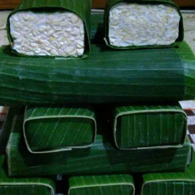 

Tempe 1 batang (daun/plastik)