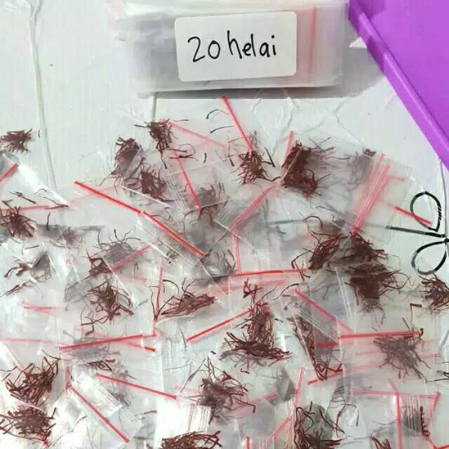 

SAFFRON KASHMIR ORI GRADE A++ / SAFFRON / HERBAL / STROKE/DARAH