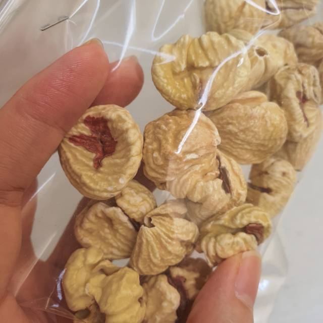 

Lakci / Dried ChestNuts 1KG Grosir