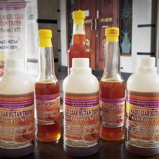 

Madu Liar Hutan Tropis