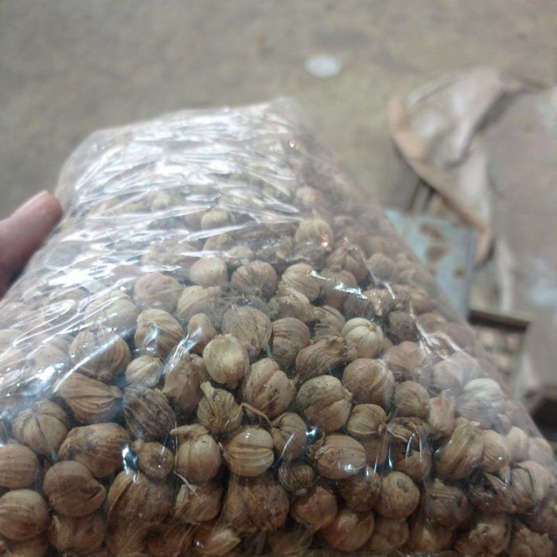 

Kapolaga/kapol 100gr