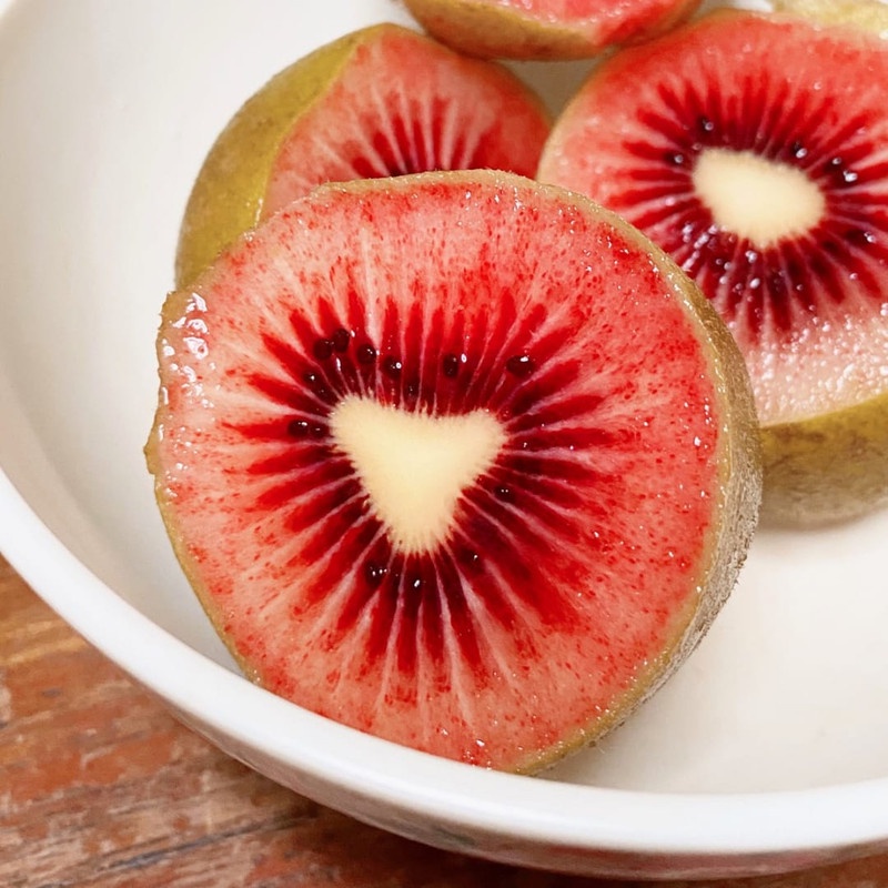 Kedai Benih Bibit Buah Kiwi Merah ~ 10 Biji