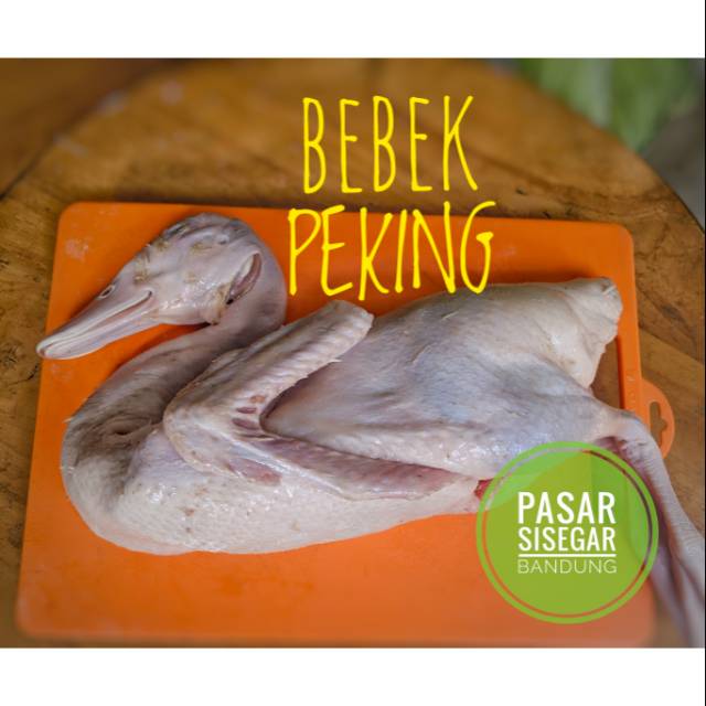 Bebek Peking 1,1Kg sd 1,2Kg