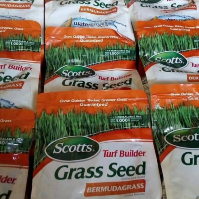Grass Seed - Benih Rumput - Biji Rumput Bermuda