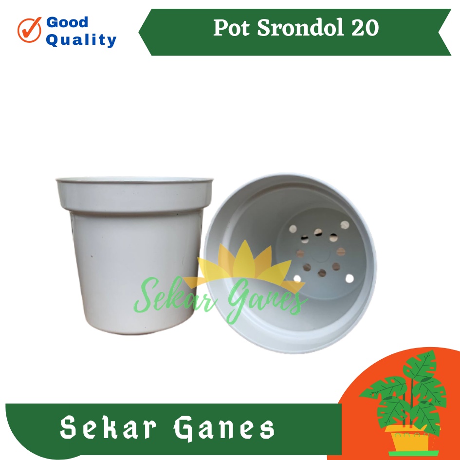 Sekarganes Pot Tinggi Srondol 20 Putih - Pot Tinggi Usa Eiffel Effiel 18 20 25 Lusinan Pot Tinggi Tirus 15 18 20 30 35 40 50 Cm Paket murah isi 1 lusin pot bunga plastik lusinan pot tanaman Pot Bibit Besar Mini Kecil Pot Srondol 15