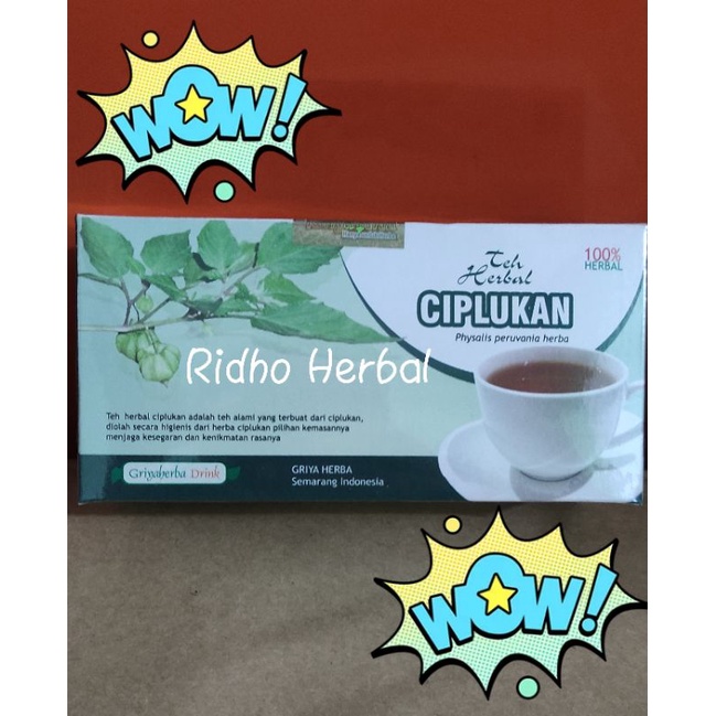 

Obat Herbal Ampun Mengobati Diabetes Dengan Teh Celup Ciplukan Original | Teh Celup Herbal Original