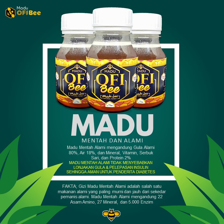 [330 gram] Madu Murni Asli Nektar Bunga | Madu Mentah Alami Madu OFi Bee 5 botol Harga Ekonomis