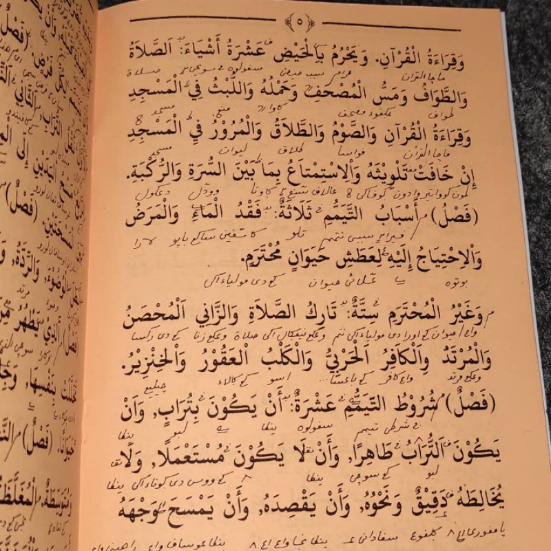 Safinatun naja makna pesantren lengkap