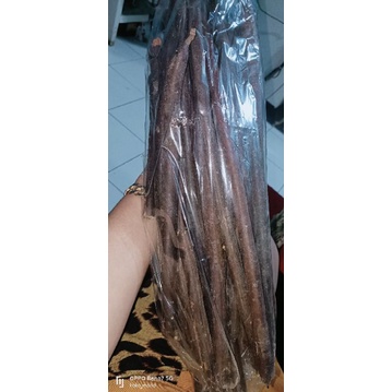 

Biji Asam Trengguli 1Kg / Benih / Lokal / Indonesia / Viral