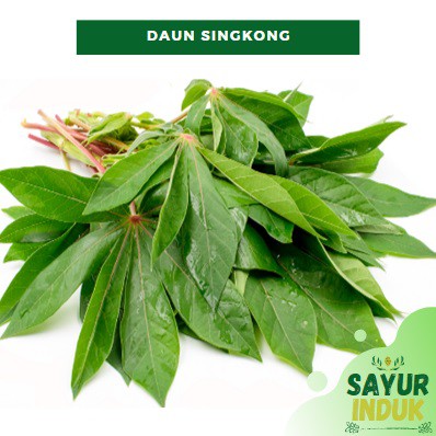 

Sayur Induk - Daun Singkong 250 Gram Per Ikat Fresh Grade A