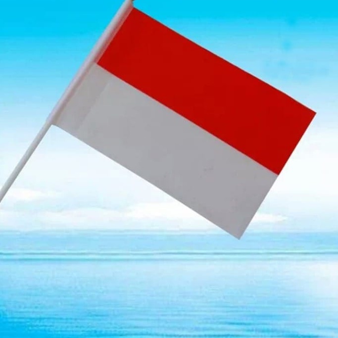 12 PCS BENDERA MERAH PUTIH TINGGI 30 CM / PERAYAAN DIRGAHAYU HUT RI INDONESIA 17 AGUSTUSAN DEKORASI