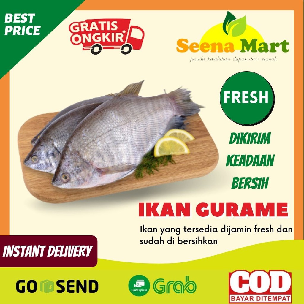 

Seafood Ikan Segar Gurame Segar Fresh 700 gram 1 Ekor Lauk Makan Mentah Pasar Lampung