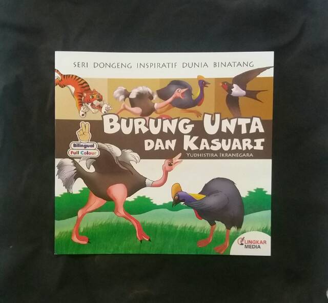 Gambar Kartun Burung  Kasuari  Gambar Kartun